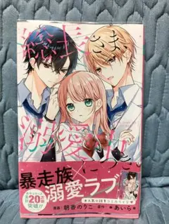 総長さま、溺愛中につき。 （りぼんマスコットコミックス） 朝香のりこ／漫画