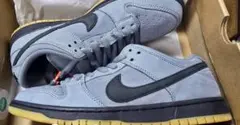 NIKE SB DUNK LOW PRO ISO Cool Grey 28.5㎝