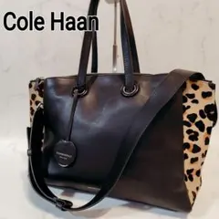 ColeHaan コールハーン グランドアンビション サッチェル レザーバッグ