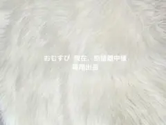 おむすび 現在、断捨離中様専用出品