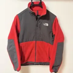 美品　THE NORTH FACE フリース デナリジャケット POLARTEC