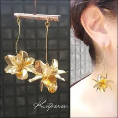 Item thumbnail for item 260c306b-1420-4b25-a353-b4e26a3470e8