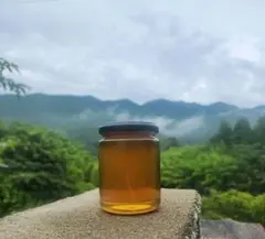 高知県産⭐︎蜂蜜⭐︎濃厚☆日本ミツバチ⭐︎1200g3本セット - メルカリ