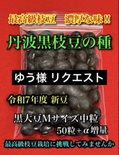 ゆう様 リクエスト 2点 まとめ商品