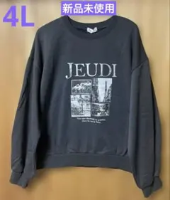 【新品未使用品】大きいサイズ プリントプルオーバー トレーナー 裏起毛 4L