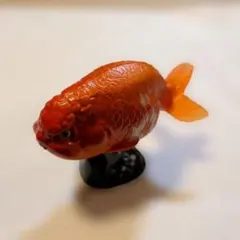 金魚 フィギュア ミニチュア リアル