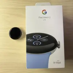 Google Pixel Watch 2 LTE 본체 덤 첨부