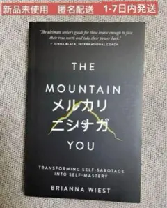 THE MOUNTAIN YOU 英語　洋書