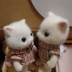 【みかん様専用】おまとめ進行ページ