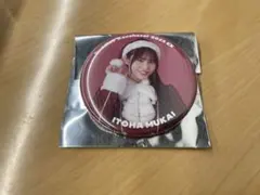 櫻坂46 缶バッジ 2025サンタ衣装 buddies感謝祭 向井純葉