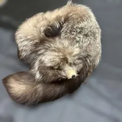 EMBAリアルファー フォックス襟巻き