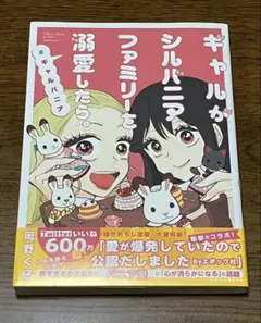 ギャルがシルバニアファミリーを溺愛したら。 7 完結 - メルカリ