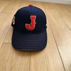 Item thumbnail for item 3a4844b2-0f99-424d-9b33-de1d7cb03e17