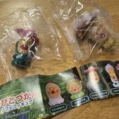 こびとづかん　ソフビフィギュア　リトルハナガシラ　ベニキノコビト　まとめ売り
