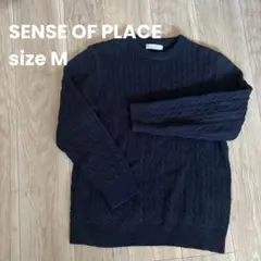 SENSE OF PLACE アーバンリサーチ ニット ネイビー M メンズ