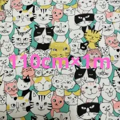 Item thumbnail for item 105cd6fb-0624-4134-b79b-a71ee724c3f2