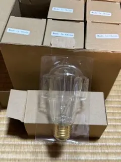 エジソン電球 6個セット60w 110v