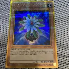 韓国 遊戯王 グローアップ・バルブ EV10 シークレット 韓国 遊戯王 グローアップ・バルブ EV10 シークレット