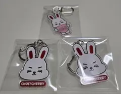 SEVENTEEN エスクプス チェチェリ キーホルダー セット