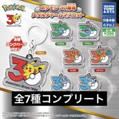 ポケモン30周年 メタルチャームマスコット コンプリートセット