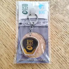 2026年最新】甲子園 土の人気アイテム - メルカリ