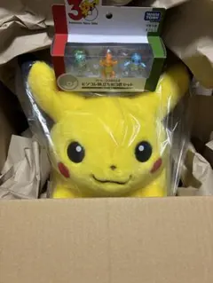 ポケットモンスター ポケモン30周年記念　３点セット　記念ボックス発送