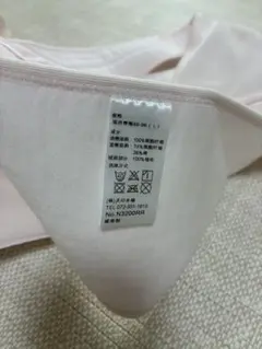 Item thumbnail for item 673ba9f1-eef4-4747-ad92-477ae8a01de6