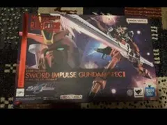 TAMASHII NATIONS METAL ROBOT魂 ＜SIDE MS＞