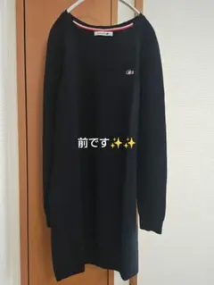 LACOSTE　ラコステメリノウールニット【限定　特別ライン】