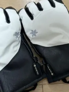 ゴールドウィン　GORE-TEX スキーグローブ