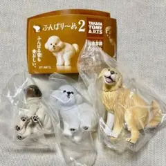 ふんばり～ぬ2＜3種セット＞