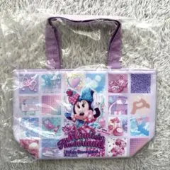 ディズニー ミニー スーベニア ランチケース パルパルーザ ファンダーランド