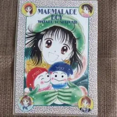 【希少】ママレード・ボーイ 下敷き型クリアファイル 1995年カレンダー封入