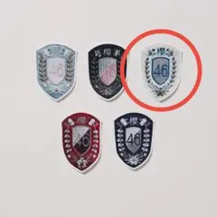 新せ界 エンブレムワッペン 2種 新せ界 エンブレムワッペン 2種 櫻坂46展「新せ界」 on X: