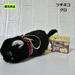 【匿名】ツチネコ もふもふ クロ マスコットキーホルダー 猫 ねこ 黒猫