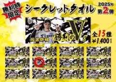 阪神タイガース 坂本誠志郎選手　勝利のVタオル