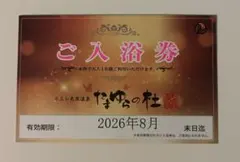 たまゆらの杜　ご入浴券　11枚セット 北のたまゆら創業祭｜天然温泉やすらぎの湯 北のたまゆら