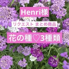 Henri様 リクエスト 2点 まとめ商品