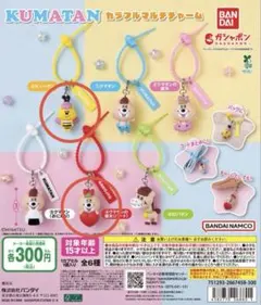 KUMATAN カラフルマルチチャーム 2種セット