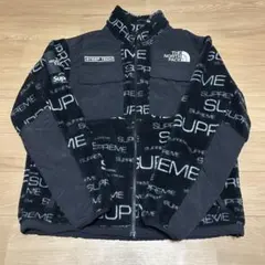 シュプリーム ザ ノースフェイス スティープテック フリースジャケット