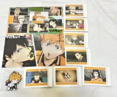 [10/11発送]ハイキュー烏野高校 まとめ売り バラ売り可(条件有)