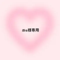 ぷぅ様専用ページ