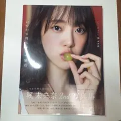 いつかの待ち合わせ場所 堀未央奈2nd写真集