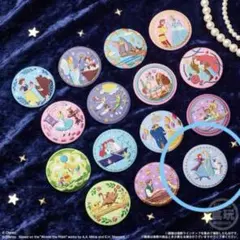 ディズニーキャラクターズ　刺繍缶バッチ　アナ雪