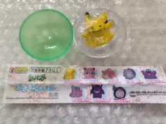 2025年最新】ぷるるんポケモンの人気アイテム - メルカリ