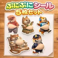【5枚✨】新品 おなか ぷにぷに シール 柴犬 ステッカー 立体 クイーズ