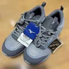【新品タグ付き】　MIZUNO ウォーキング ゴアテックス 防水 25.0EEEのサムネイル