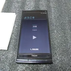 Item thumbnail for item 01a27369-bbc6-47a2-a06c-2bf5771da443