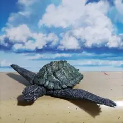 Item thumbnail for item 1f7042c2-4088-4a54-a9e0-f579f51234de