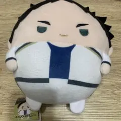 ハイキュー!!ふわコロりん Msize Special 赤葦京治